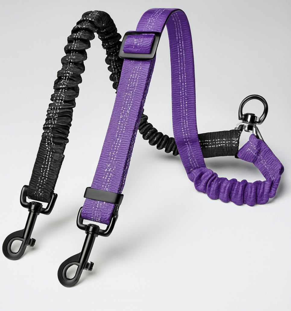 TwoPaw Leash
