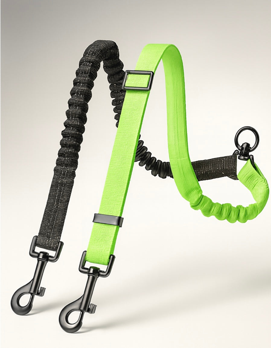 TwoPaw Leash
